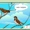 Интерактивное развивающее пособие "Говорящие картинки. Слушаем и повторяем" - «globural.ru» - Чайковский