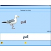 Английский язык. Освоение клавиатуры - «globural.ru» - Чайковский