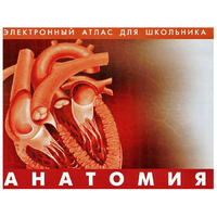 Анатомия. (Цифровой атлас школьника) - «globural.ru» - Чайковский