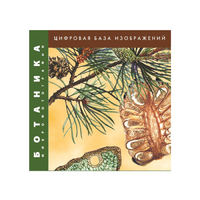Ботаника. Микрофотографии. (Цифровая база изображений) - «globural.ru» - Чайковский