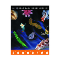 Зоология. Микрофотографии. (Цифровая база изображений) - «globural.ru» - Чайковский