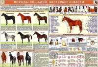 Комплект плакатов "Служебное коневодство" - «globural.ru» - Чайковский