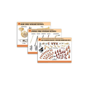 Комплект демонстрационных учебных таблиц (по предметной области музыка) - «globural.ru» - Чайковский