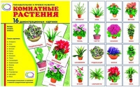 Демонстрационные карточки "Комнатные растения" - «globural.ru» - Чайковский