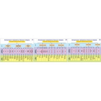 Плакаты ПРОФТЕХ "Ассортимент продовольственных товаров" (3 пл, винил, 70х100) - «globural.ru» - Чайковский