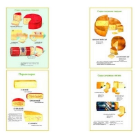 Плакаты ПРОФТЕХ "Ассортимент сыров" (9 пл, винил, 70х100) - «globural.ru» - Чайковский