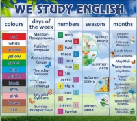 Стенд "We study english" - «globural.ru» - Чайковский