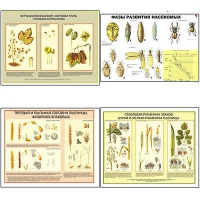 Плакаты ПРОФТЕХ "Вредители и болезни с/х культур и меры борьбы с ними" (11 пл, винил, 70х100) - «globural.ru» - Чайковский