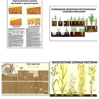 Плакаты ПРОФТЕХ "Агрономия" (5 пл, винил, 70х100) - «globural.ru» - Чайковский