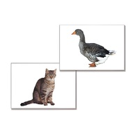 Дидактическое пособие "Домашние животные" (24 карточки, А4, ламинированное) - «globural.ru» - Чайковский