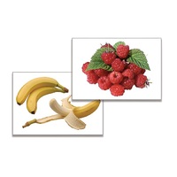 Дидактическое пособие "Фрукты, ягоды, орехи" (24 карточки, А4, ламинированные) - «globural.ru» - Чайковский