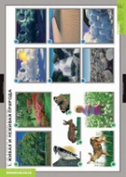 Окружающий мир. Летние и осенние изменения в природе (комплект таблиц) - «globural.ru» - Чайковский