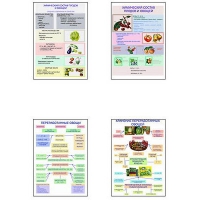 Плакаты ПРОФТЕХ "Классификация овощей и переработка" (8 пл, винил, 70х100) - «globural.ru» - Чайковский