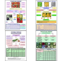 Плакаты ПРОФТЕХ "Классификация овощей" (11 пл, винил, 70х100) - «globural.ru» - Чайковский