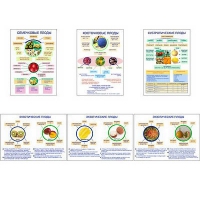 Плакаты ПРОФТЕХ "Плоды" (6 пл, винил, 70х100) - «globural.ru» - Чайковский