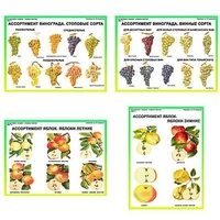 Плакаты ПРОФТЕХ "Ассортимент плодово-ягодных культур" (19 пл, винил, 70х100) - «globural.ru» - Чайковский