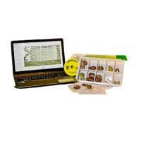 Коллекция натурально-интерактивная "Палеонтологическая" - «globural.ru» - Чайковский