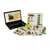 Коллекция натурально-интерактивная "Шишки, плоды, семена деревьев и кустарников" - «globural.ru» - Чайковский