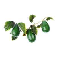 Муляж "Ветка авокадо" - «globural.ru» - Чайковский