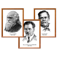 Портреты выдающихся биологов, комплект 8 шт - «globural.ru» - Чайковский