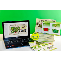 Коллекция натурально-интерактивная "Шелк и продукты его переработки" (средняя школа) - «globural.ru» - Чайковский