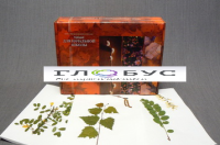 Гербарий для начальной школы (28 видов) - «globural.ru» - Чайковский