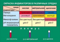 Таблица Окраска индикаторов в различных средах (винил) - «globural.ru» - Чайковский