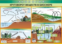 Таблица Круговорот веществ в биосфере 1000*700 винил - «globural.ru» - Чайковский