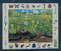 Магнитный плакат "Природное сообщество луга" - «globural.ru» - Чайковский