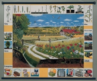 Магнитный плакат "Природное сообщество поля" - «globural.ru» - Чайковский