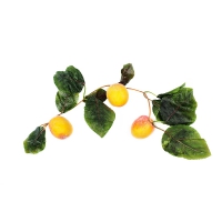 Ветка муляжей "Абрикосы" - «globural.ru» - Чайковский