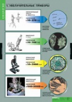 Биология. Вещества растений, клеточное строение (комплект таблиц) - «globural.ru» - Чайковский
