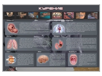 Стенд "Курение" (вариант 1) - «globural.ru» - Чайковский