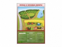 Магнитно-маркерная доска "Лесные и торфяные пожары" + комплект тематических магнитов - «globural.ru» - Чайковский