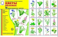 Демонстрационные карточки "Цветы полевые" - «globural.ru» - Чайковский