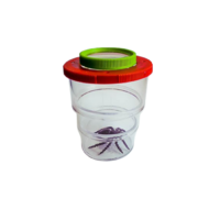 Коробка для изучения насекомых с лупой (вариант 2) - «globural.ru» - Чайковский