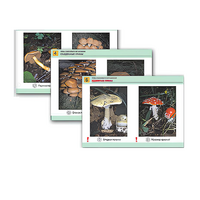 Комплект таблиц раздаточных "Грибы съедобные и несъедобные" - «globural.ru» - Чайковский