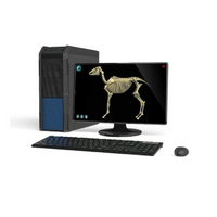 Макет масштабный «Скелет Лошади» Масштаб 1:2 - «globural.ru» - Чайковский