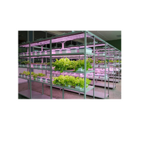 Обучающий комплект "АГРОкласс" - «globural.ru» - Чайковский