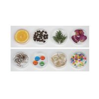 Игра "СенсиБар" - «globural.ru» - Чайковский