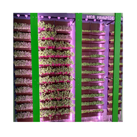 Вертикальная ферма "Моя Микрозелень" комплектация Школьная - «globural.ru» - Чайковский