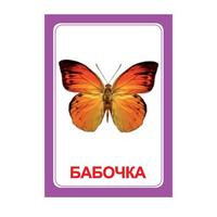 Логопедка "Ч" (логопедические карточки) - «globural.ru» - Чайковский