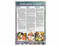 Стенд "Белки. Жиры. Углеводы" - «globural.ru» - Чайковский