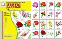 Демонстрационные карточки "Цветы садовые" - «globural.ru» - Чайковский