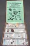 Коллекция «Многообразие раковин моллюсков» - «globural.ru» - Чайковский