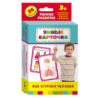 Карточки Домана "Как устроен человек" - «globural.ru» - Чайковский