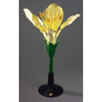 Модель Цветок капусты - «globural.ru» - Чайковский