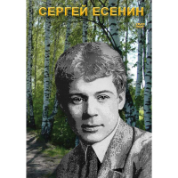 DVD Сергей Есенин - «globural.ru» - Чайковский