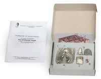 Модель-аппликация Растительные ткани (набор из 15 карт) - «globural.ru» - Чайковский