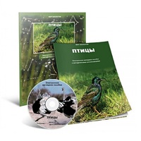 Электронное наглядное пособие «Птицы» - «globural.ru» - Чайковский